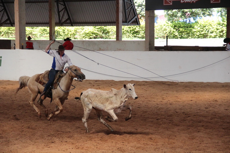 Etapa final do CLC acontece em Campo Grande