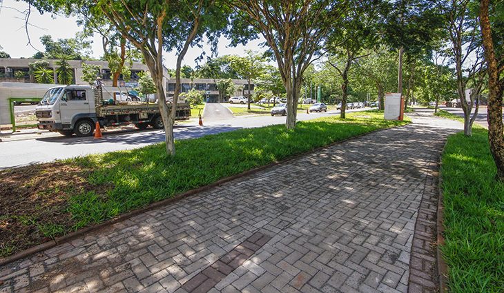 Amigos do Parque funciona com trajeto reduzido neste fim de semana