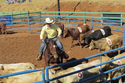 Três Lagoas sedia 9º Campeonato NTR MS de Ranch Sorting