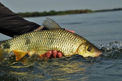TL receberá curso gratuito de Formação de Condutores de Pesca Esportiva