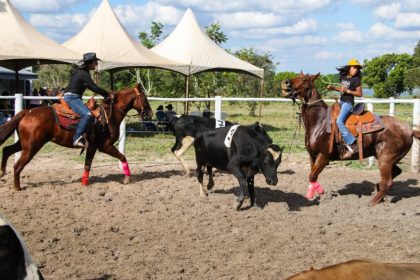 Ranch Sorting “Estância Rebucci” supera expectativas e atrai 700 pessoas