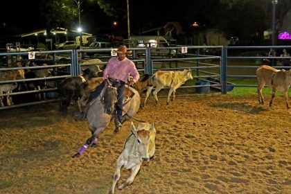 Nesta sexta tem a 3ª etapa do Campeonato de Ranch Sorting em TL