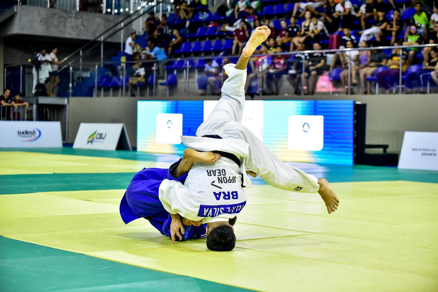 Judocas de MS conquistam três medalhas no Campeonato Brasileiro