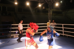 Noite das estrelas - Box Olímpico: Stephany Centurion X Rosângela Naimer - 53kg