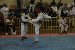 Copa Taekwondo/ MS - Instituto Mirim - Parte 1