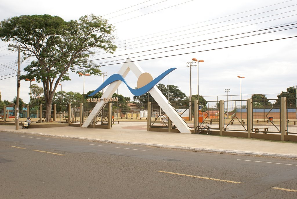 Calendário esportivo é lançado durante evento em homenagem às mulheres