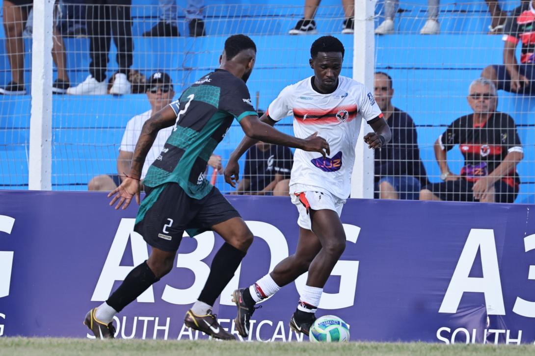 Águia Negra vira sobre o Pantanal e come...