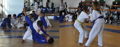 Judocas do MS conquistam quatro medalhas de ouro em SP