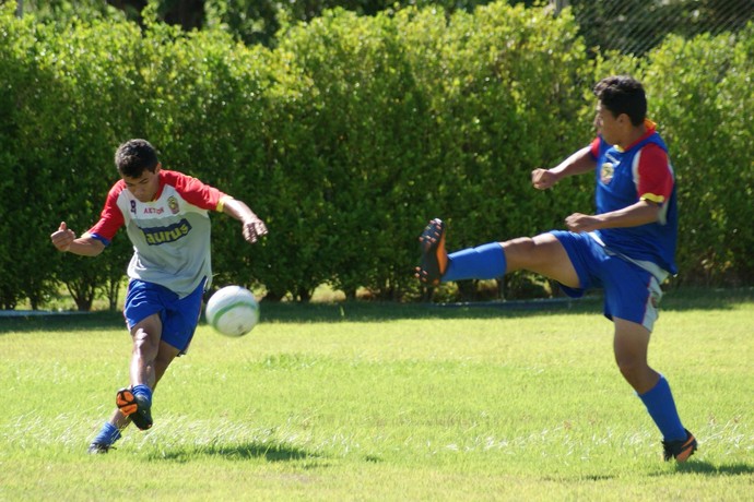 Todos os times do Estadual já estão em pré-temporada para 2014