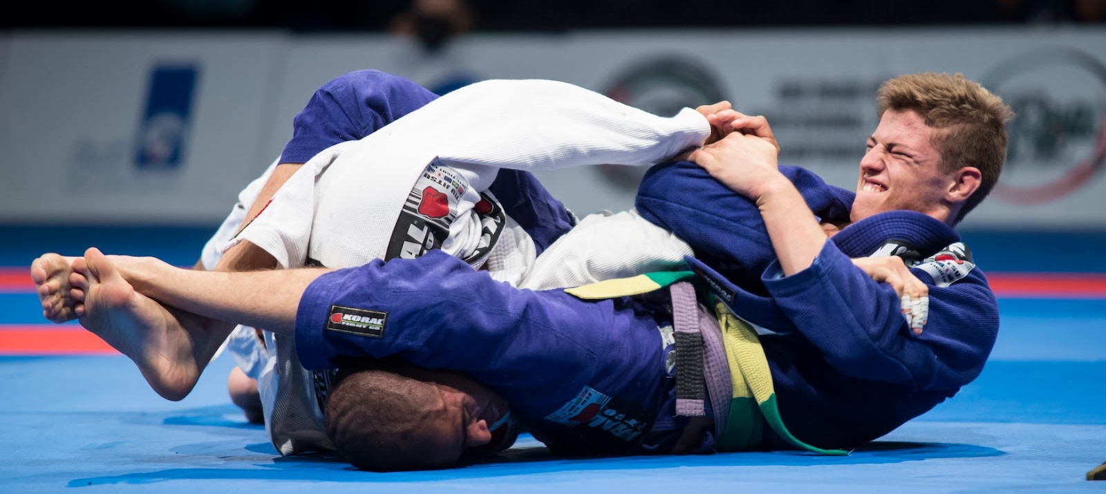 Dia Estadual do Jiu-Jitsu pode ser incluído nas comemorações de MS