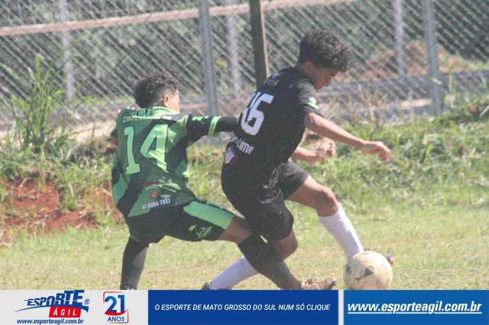 Imagem 7