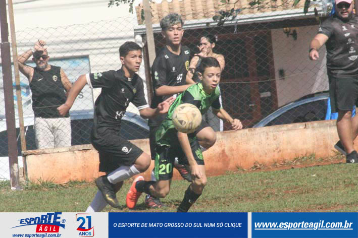 Imagem 11