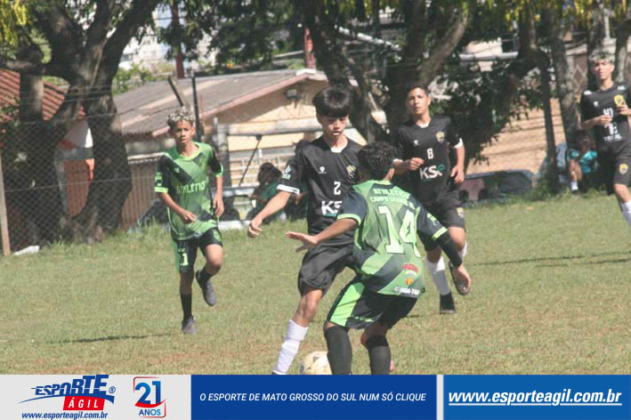 Imagem 19
