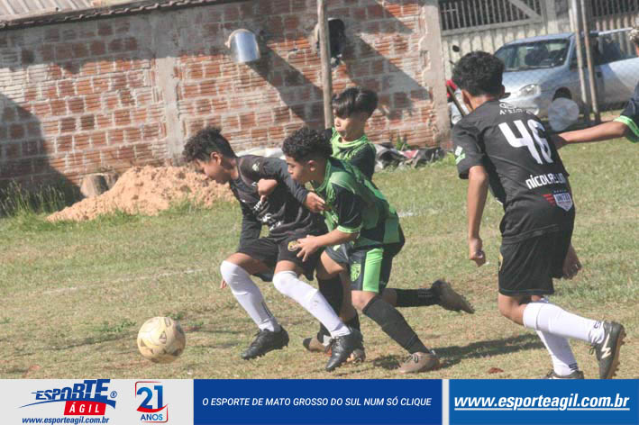 Imagem 26