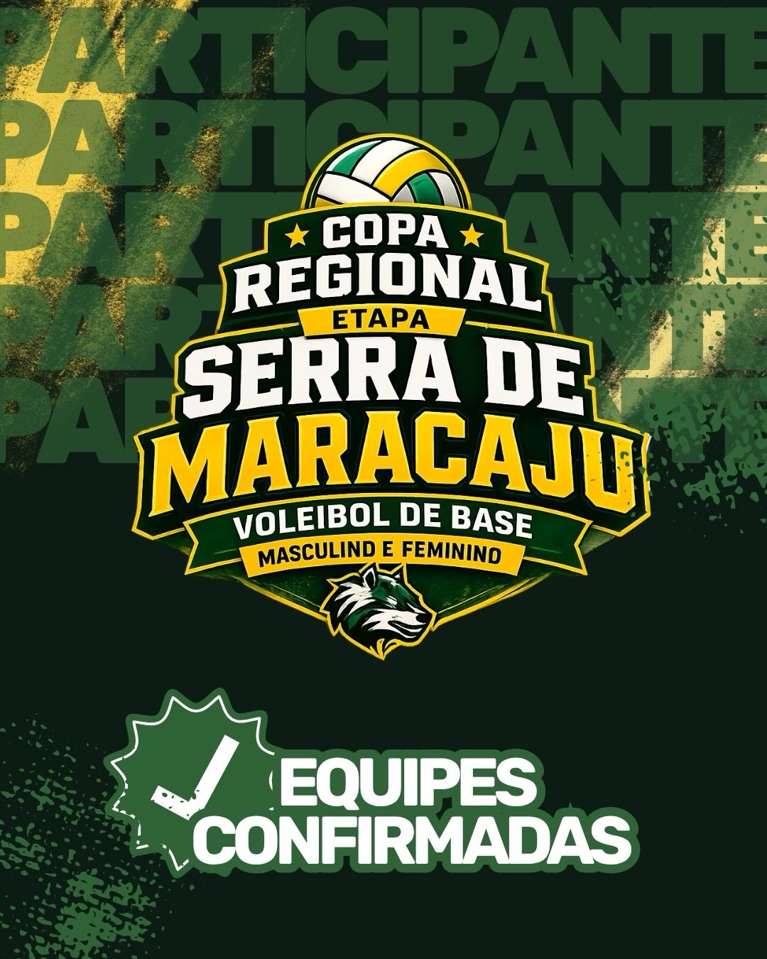 Copa Regional reúne projetos de voleibol...