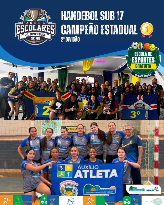 Handebol Sub-17 de Aparecida do Taboado é campeão estadual da 2ª Divisão
